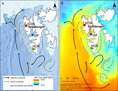 Consequences of Atlantification on a Zooplanktivorous Arctic Seabird